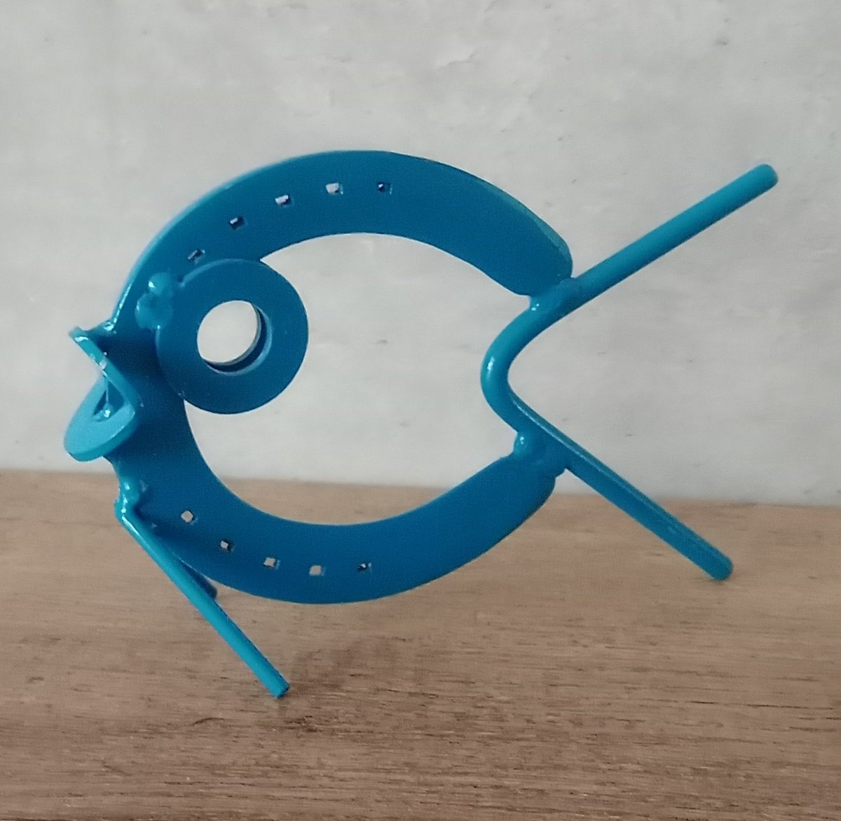 Colourful horseshoe fish 