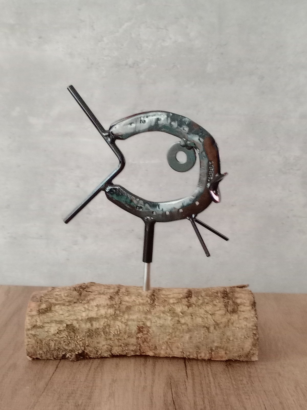 Black Garden Fish Black Garden Fish