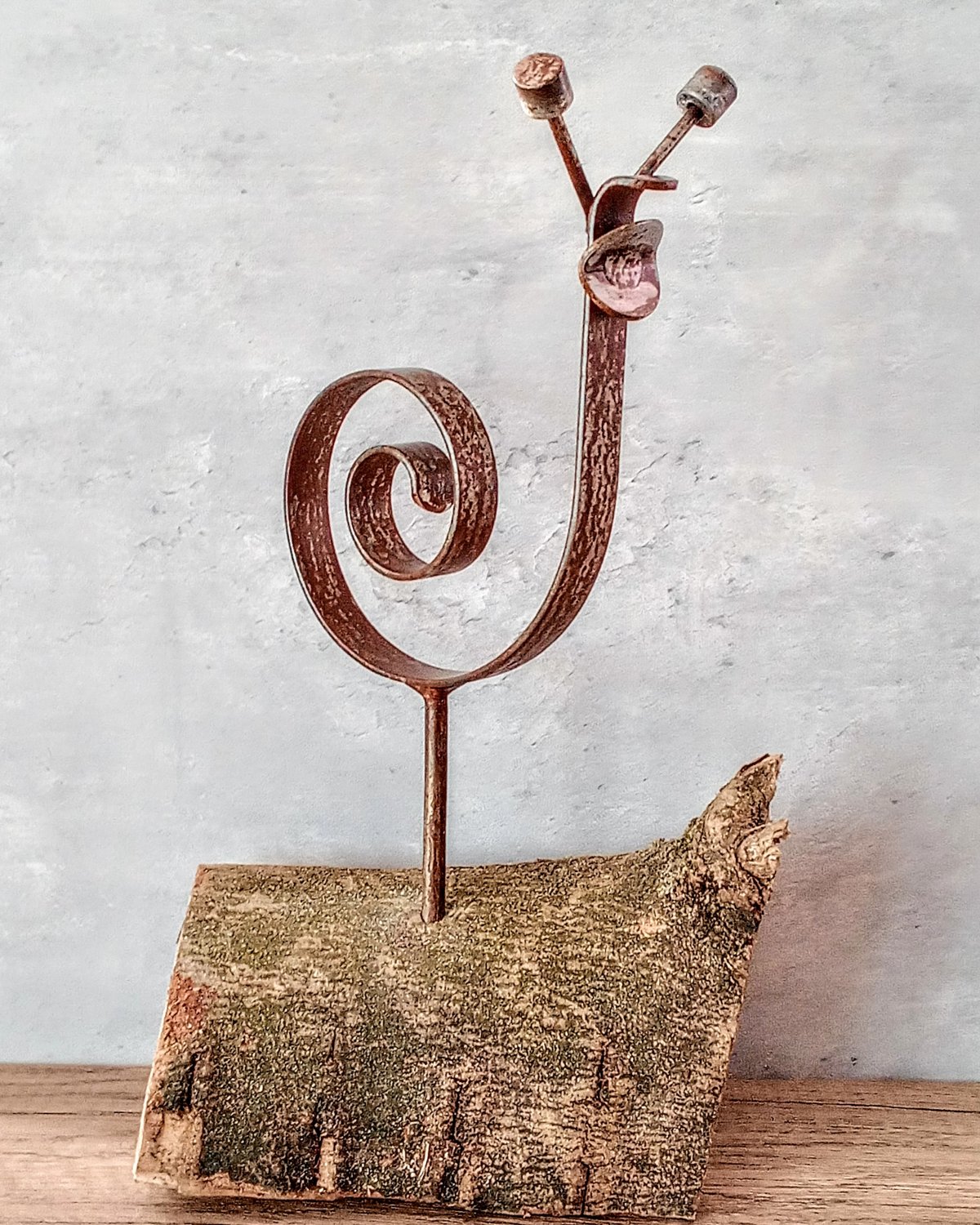 Garden Scroll Snail Garden Scroll Snail