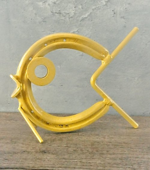 Colourful Horseshoes Fish Yellow 
